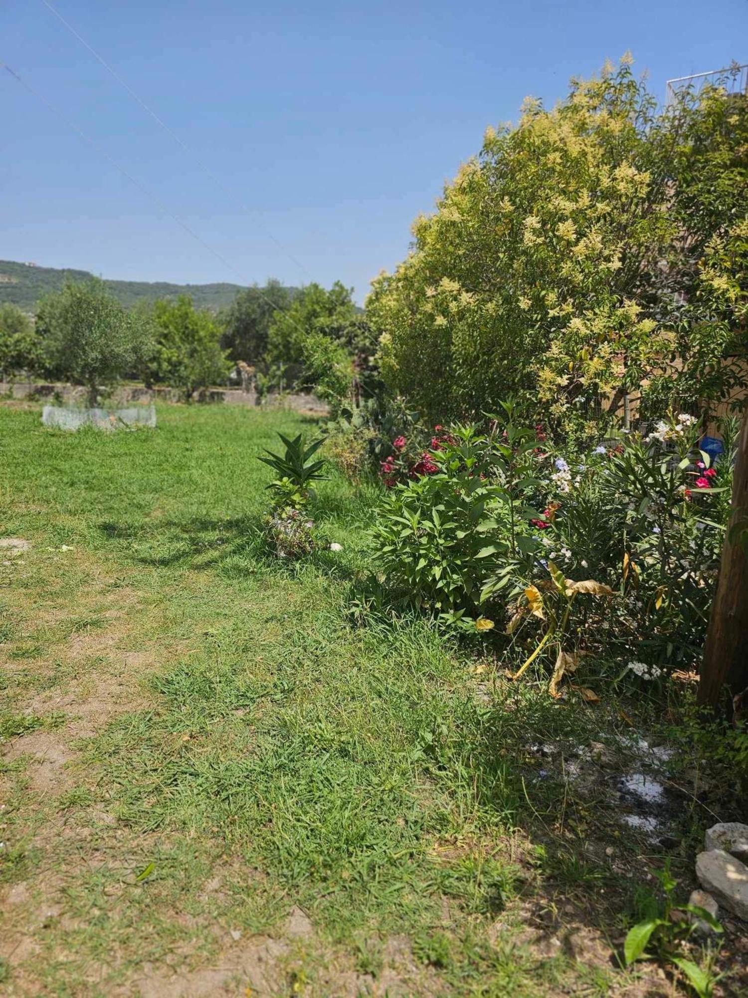 Case de vacanță Mitsos House Moraitika